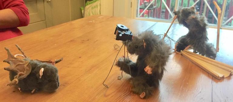 WhatsApp Image 2019-04-08 at 14.46.43